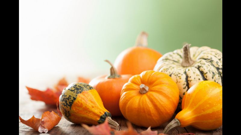 Seasonal Foods to Add To Your Plate